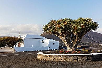 传闻：育碧《孤岛惊魂7》目前尚未开始开发